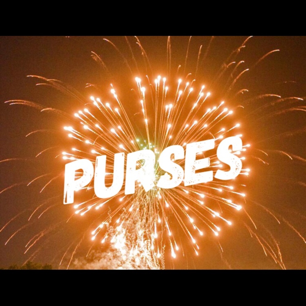 Closet separator: purses
